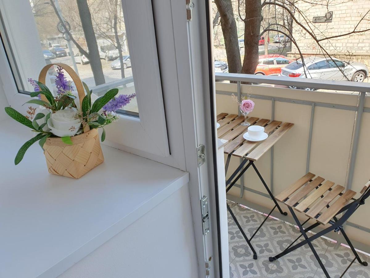 All New And Cozy Apartment In The Silence Center 키시나우 외부 사진